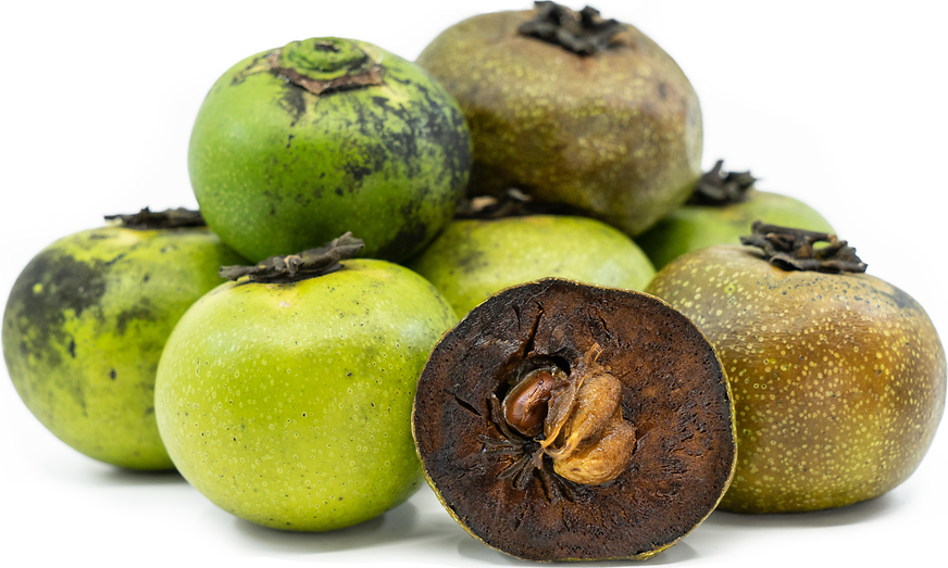 Best Sapote Varieties