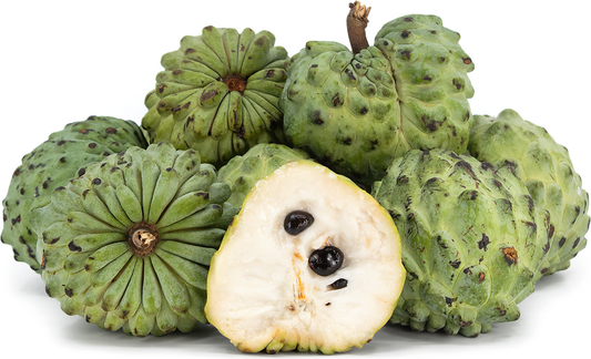Custard Apple Green Fruit Plant - Annona Squamosa