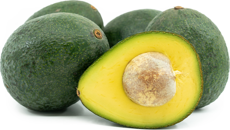Avocado Reed