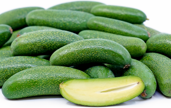 Seedless Avocado