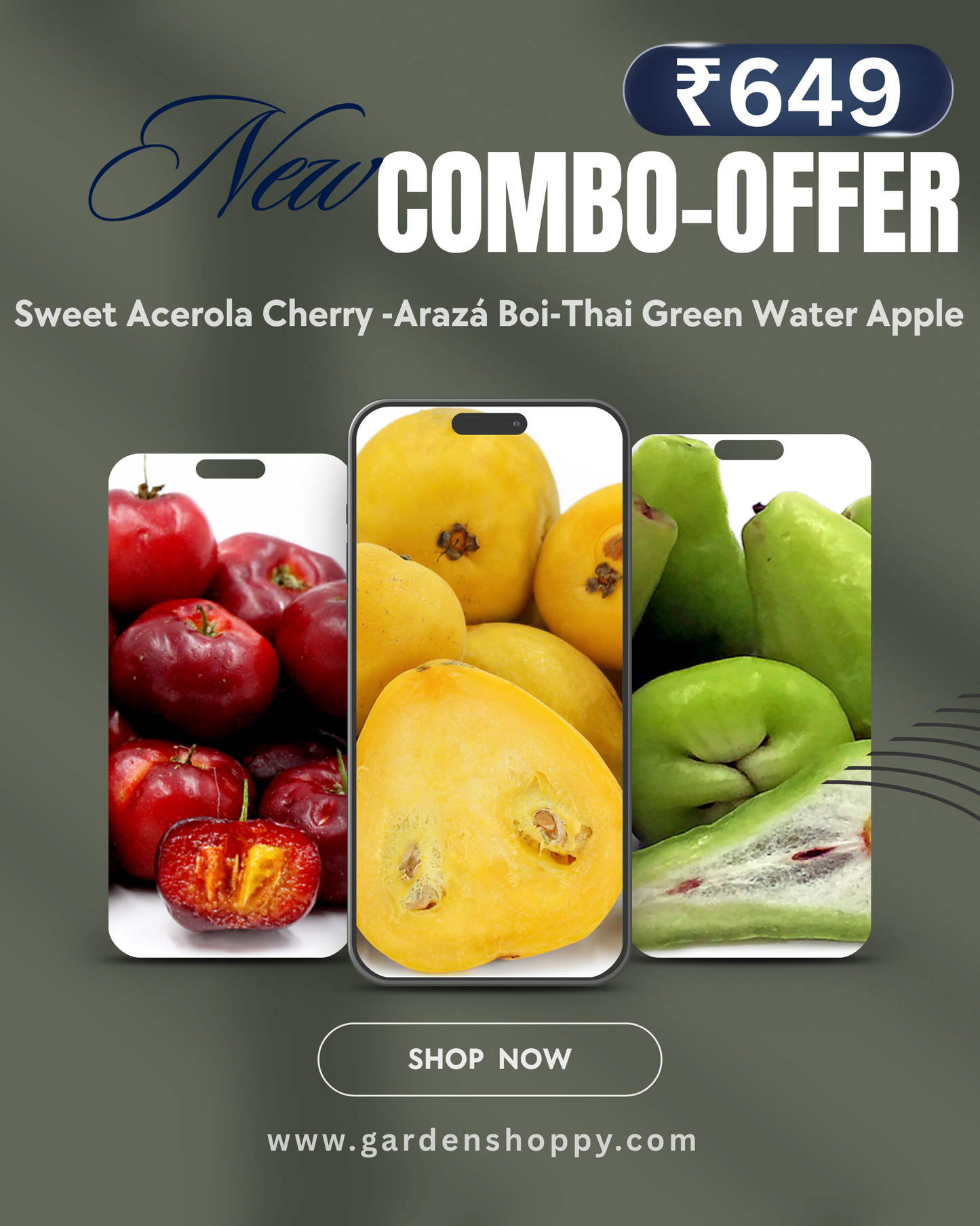 3 Fruit Plant Combo - Plant Combo Only βΉ649