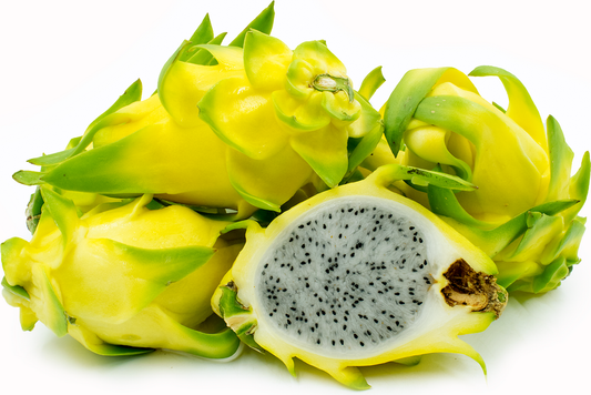 Israeli Yellow Dragon Fruit Plant - Selenicereus Undatus