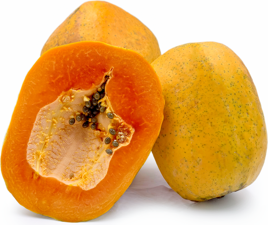 Papaya H3 Fruit Plant