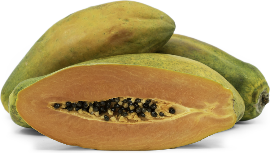 Papaya H4 Fruit Plant