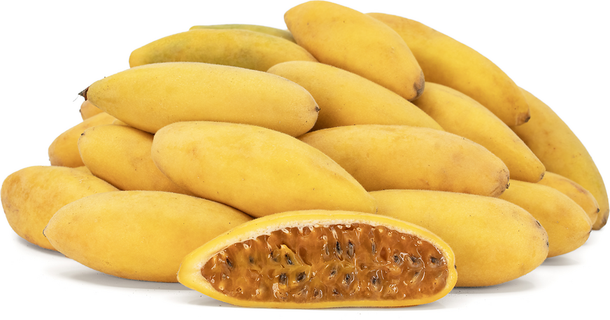 Banana Passion Fruit Plant