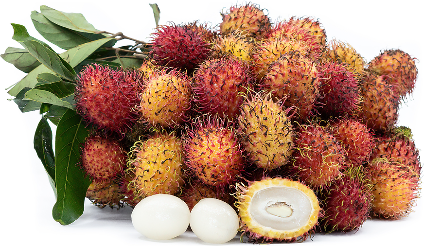 Rambutan Binjai Fruit Plant