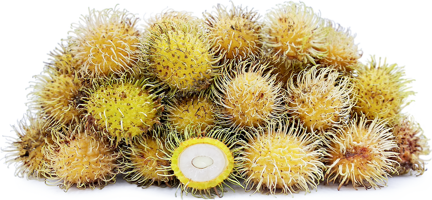 Rambutan E35 Fruit Plant