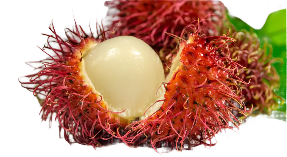 Rambutan N18 Fruit Plant - Nephelium lappaceum