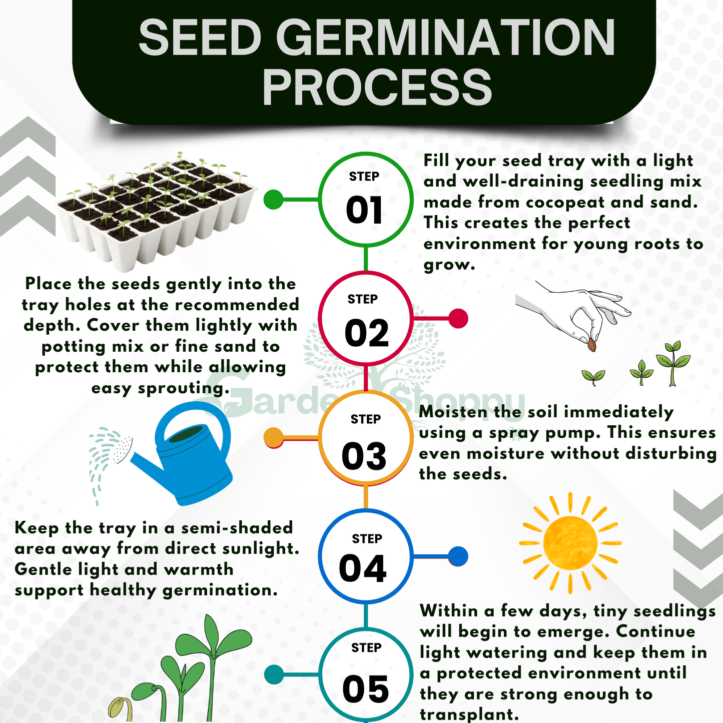 Vegetable Seeds Combo Pack of 7 Varieties - Vegetable Garden Combo 055