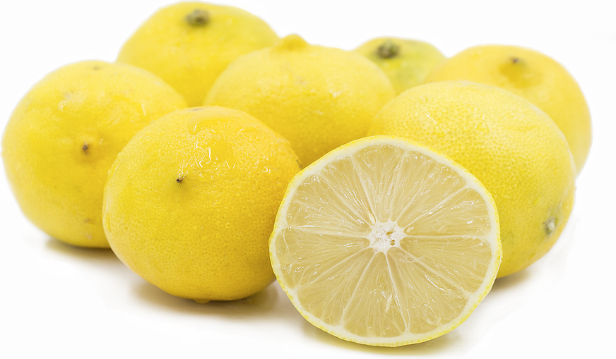 Sweet Lemon Plant