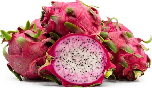 Taiwanese Bicolored Dragon Fruit Plant - Selenicereus Undatus