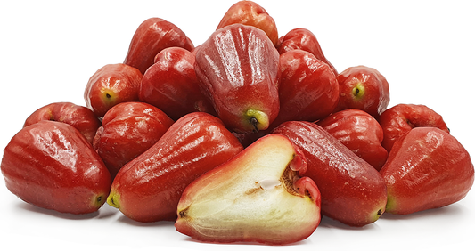 Thai Red Water Apple Fruit Plant - Syzygium Aqueum