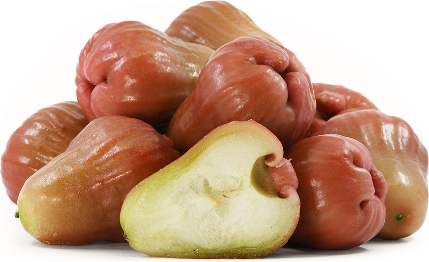 Sugar Barbie Water Apple
