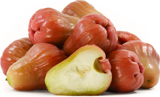 Sugar Barbie Water Apple Fruit Plant - Syzygium Samarangense