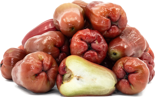 Indonesian Water Apple Citra Fruit Plant - Syzygium Samarangense