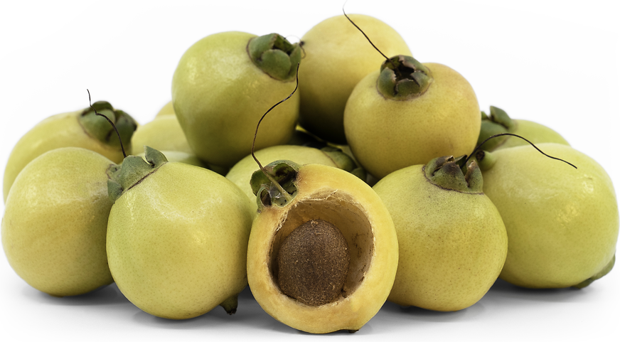 Rose Apple