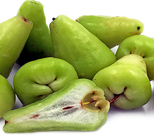 Thai Green Water Apple Fruit Plant - Syzygium Aqueum
