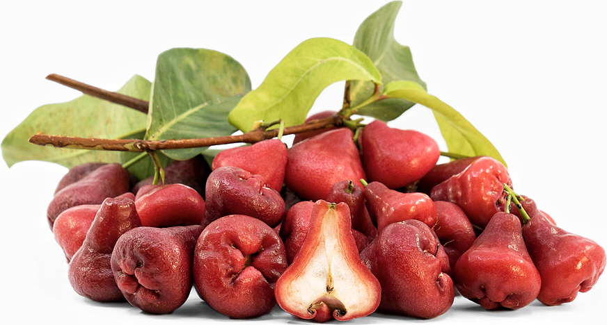 Vietnam Water Apple