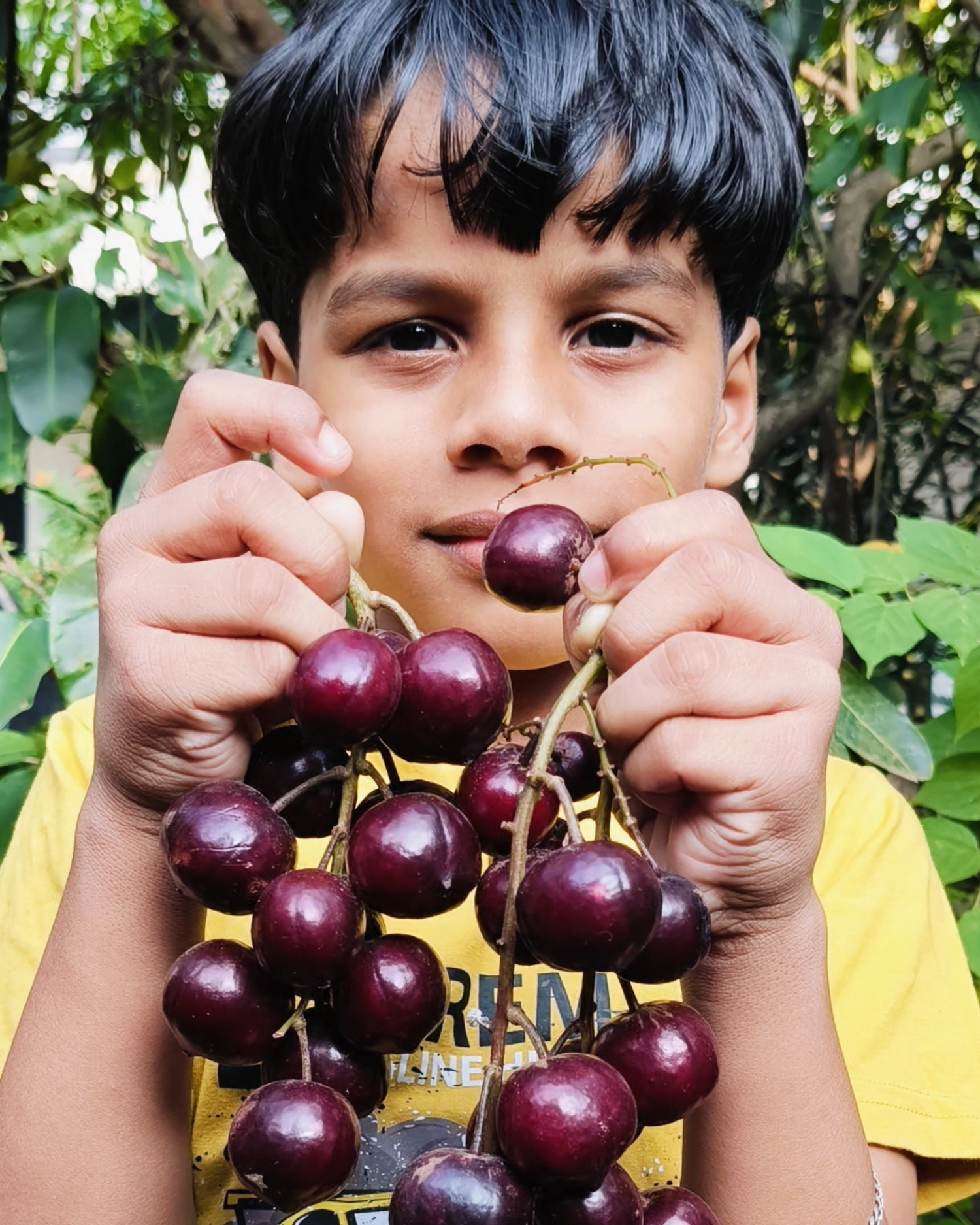 Best Cherry Varieties
