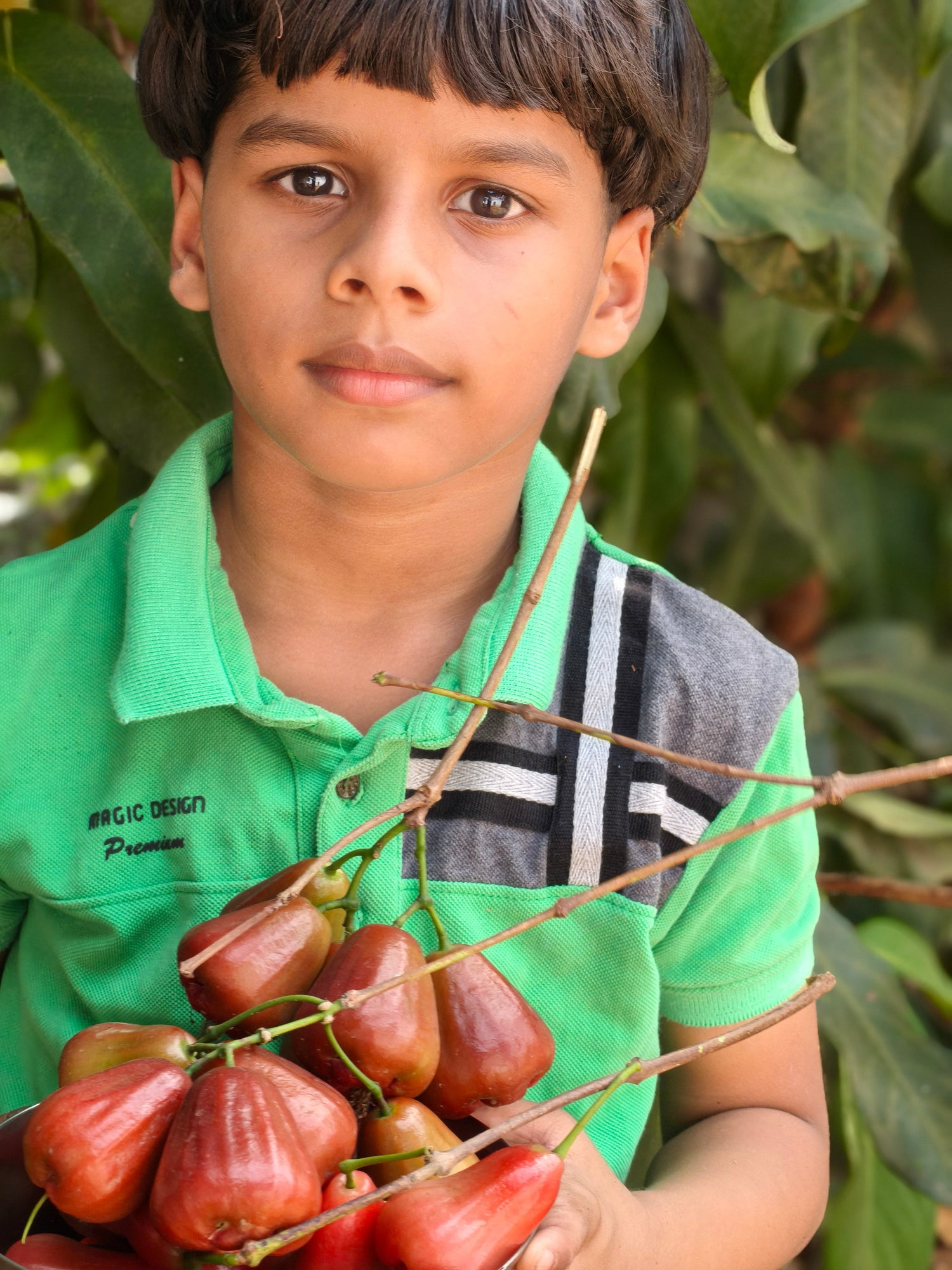 Best Water Apple Varieties