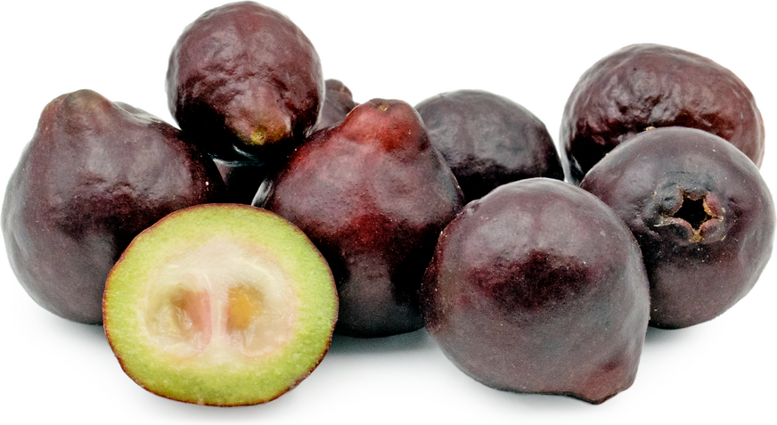 Rainforest Purple Guava