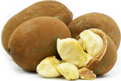 Cupassu Fruit Plants - Theobroma Grandiflorum