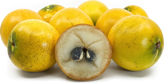 Abui Fruit Plant
