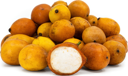 Achachairu Fruit Plant - Garcinia Humilis