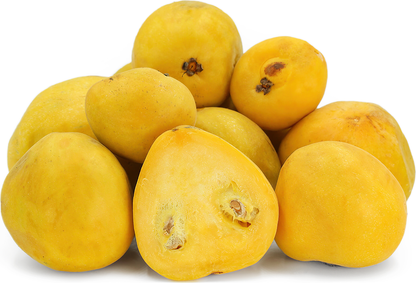 Araza A2 Fruit Plant - Eugenia Stipitata