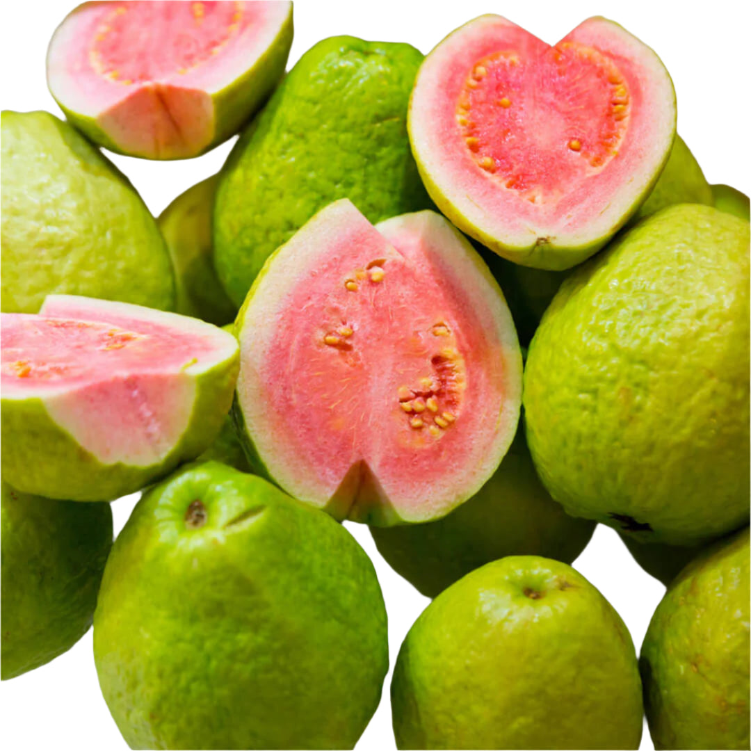 Arka Kiran Guava Fruit Plant