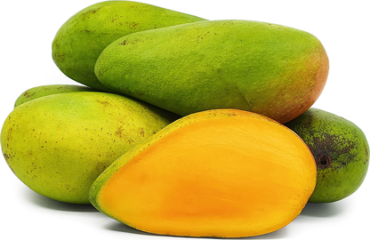Arumanis Mango Fruit Plant - Mangifera Indica
