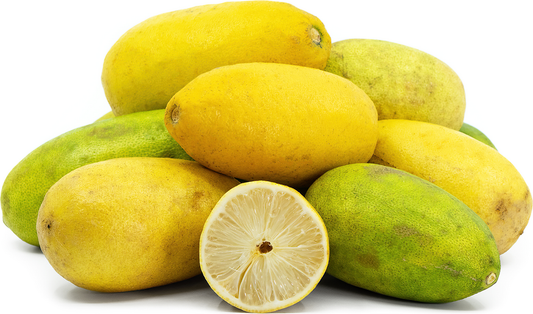 Assam Lemon Plant