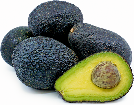 Avocado Lamb Hass