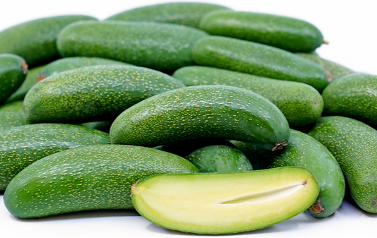Seedless Avocado