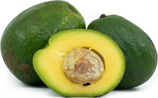 Avocado Tropical GT4