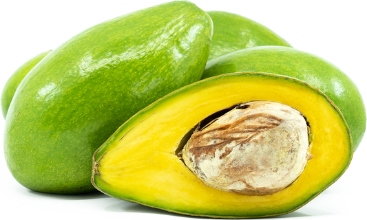 Avocado Tropical GT5
