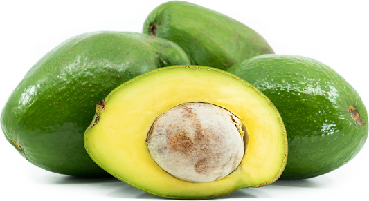 Avocado Tropical GT6