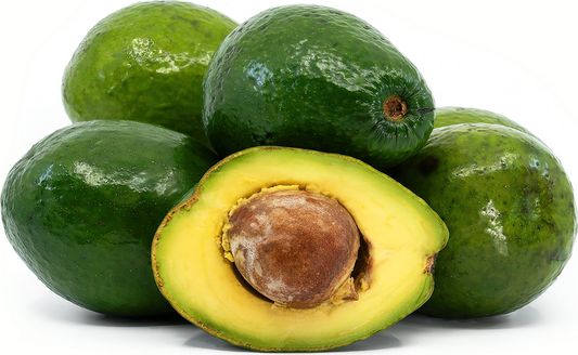 Avocado GT2