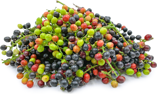 Bignay Fruit Plant