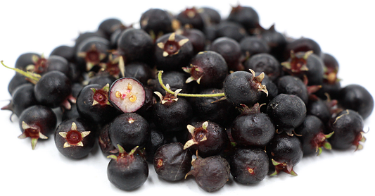Black Chilean Guava Fruit Plant