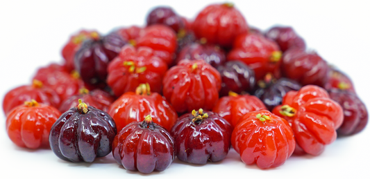 Surinam Cherry Black Fruit Plant