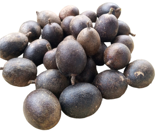 Black Matoa Fruit Plant