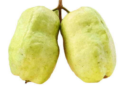 Bottle Guava Fruit Plant