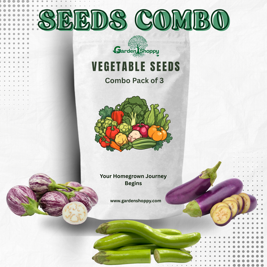 Vegetable Seeds Combo Pack of 3 - Vegetable Garden Combo 054