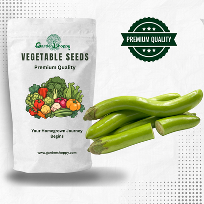 Green Brinjal Seeds - Vegetables Seeds