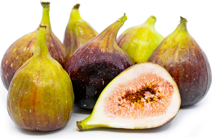 Brown Fig Fruit Plant - Ficus Carica