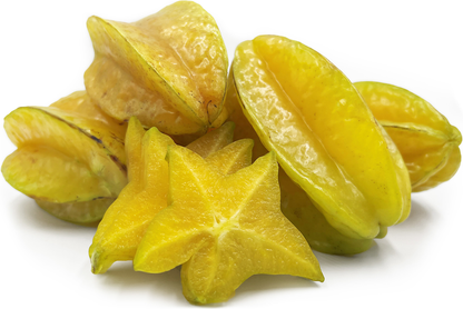 Carambola C3 Fruit Plant - Averrhoa Carambola