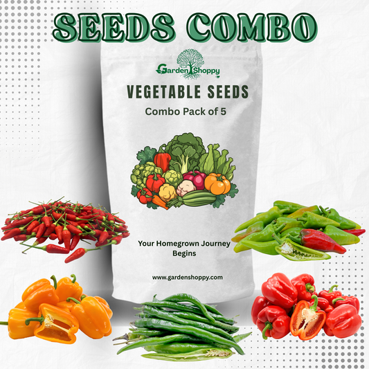 Vegetable Seeds Combo Pack of 5 - Vegetable Garden Combo 052