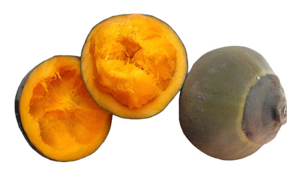 Chupa Chupa Fruit Plant - Quararibea Cordata