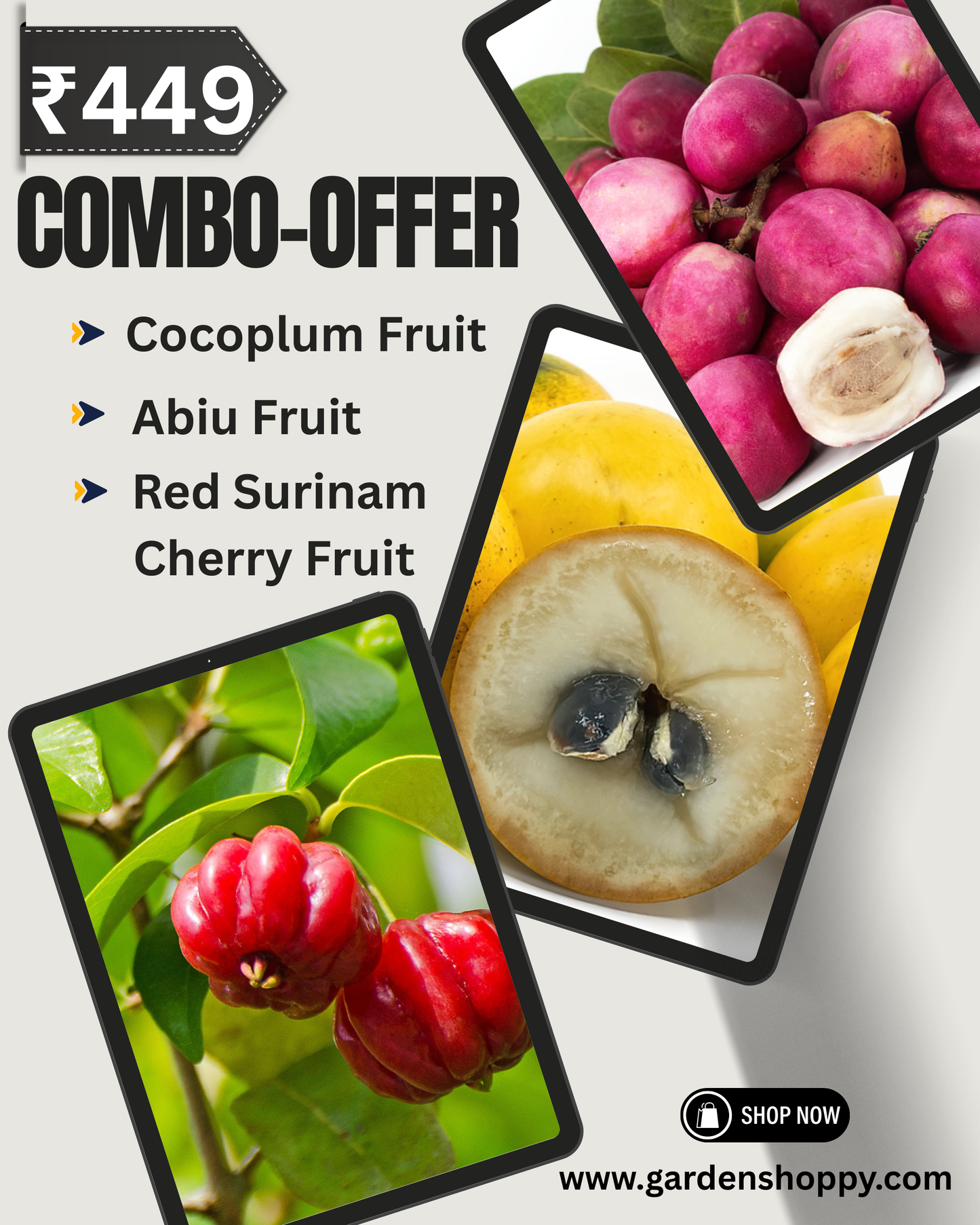 3 Fruit Plant Combo - Plant Combo Only ₹449
